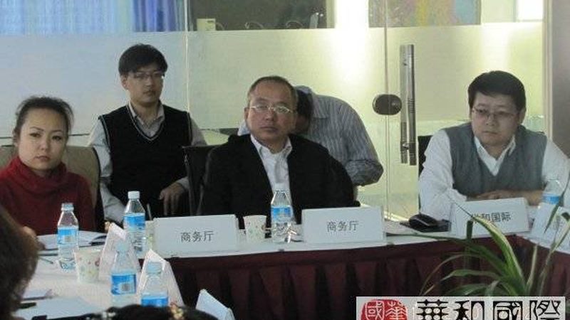 可研报告揭秘：核心章节与关键内容解析